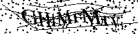 Por favor, introduzca las letras y los numeros de la imagen