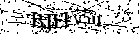 Por favor, introduzca las letras y los numeros de la imagen