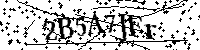 Por favor, introduzca las letras y los numeros de la imagen