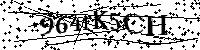 Por favor, introduzca las letras y los numeros de la imagen