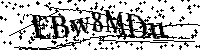 Por favor, introduzca las letras y los numeros de la imagen