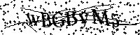 Por favor, introduzca las letras y los numeros de la imagen