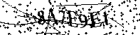 Por favor, introduzca las letras y los numeros de la imagen