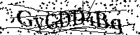 Por favor, introduzca las letras y los numeros de la imagen