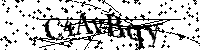 Por favor, introduzca las letras y los numeros de la imagen