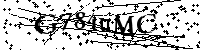 Por favor, introduzca las letras y los numeros de la imagen