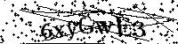 Por favor, introduzca las letras y los numeros de la imagen