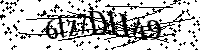 Por favor, introduzca las letras y los numeros de la imagen