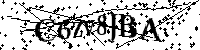 Por favor, introduzca las letras y los numeros de la imagen