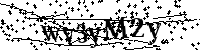 Por favor, introduzca las letras y los numeros de la imagen
