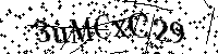 Por favor, introduzca las letras y los numeros de la imagen