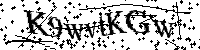 Por favor, introduzca las letras y los numeros de la imagen