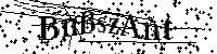 Por favor, introduzca las letras y los numeros de la imagen