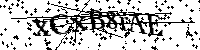Por favor, introduzca las letras y los numeros de la imagen