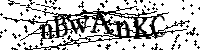Por favor, introduzca las letras y los numeros de la imagen