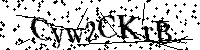 Por favor, introduzca las letras y los numeros de la imagen