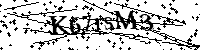 Por favor, introduzca las letras y los numeros de la imagen