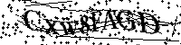 Por favor, introduzca las letras y los numeros de la imagen