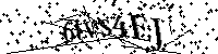 Por favor, introduzca las letras y los numeros de la imagen