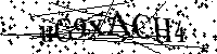 Por favor, introduzca las letras y los numeros de la imagen