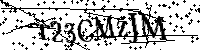 Por favor, introduzca las letras y los numeros de la imagen