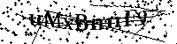 Por favor, introduzca las letras y los numeros de la imagen