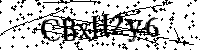 Por favor, introduzca las letras y los numeros de la imagen