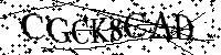 Por favor, introduzca las letras y los numeros de la imagen