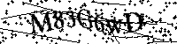 Por favor, introduzca las letras y los numeros de la imagen