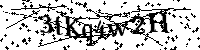 Por favor, introduzca las letras y los numeros de la imagen