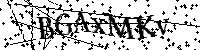 Por favor, introduzca las letras y los numeros de la imagen