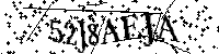Por favor, introduzca las letras y los numeros de la imagen