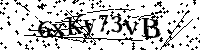 Por favor, introduzca las letras y los numeros de la imagen