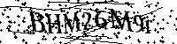 Por favor, introduzca las letras y los numeros de la imagen