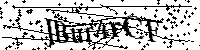 Por favor, introduzca las letras y los numeros de la imagen
