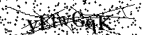 Por favor, introduzca las letras y los numeros de la imagen
