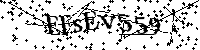 Por favor, introduzca las letras y los numeros de la imagen