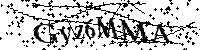 Por favor, introduzca las letras y los numeros de la imagen