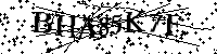 Por favor, introduzca las letras y los numeros de la imagen