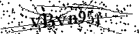 Por favor, introduzca las letras y los numeros de la imagen