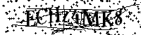 Por favor, introduzca las letras y los numeros de la imagen