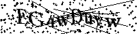 Por favor, introduzca las letras y los numeros de la imagen