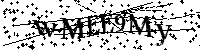 Por favor, introduzca las letras y los numeros de la imagen