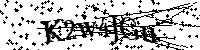 Por favor, introduzca las letras y los numeros de la imagen