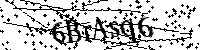Por favor, introduzca las letras y los numeros de la imagen