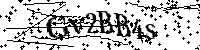Por favor, introduzca las letras y los numeros de la imagen