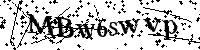 Por favor, introduzca las letras y los numeros de la imagen