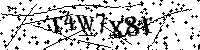 Por favor, introduzca las letras y los numeros de la imagen