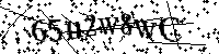 Por favor, introduzca las letras y los numeros de la imagen