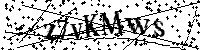 Por favor, introduzca las letras y los numeros de la imagen